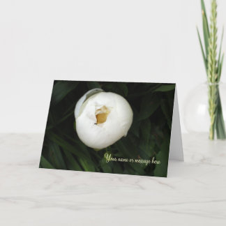 Tarjeta White Peony Notecards
