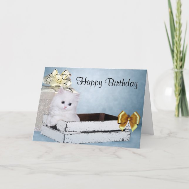Tarjeta White Persian kitten Birthday (Anverso)