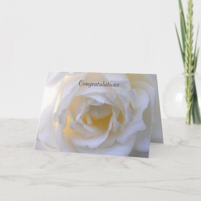 Tarjeta White rose soft focus (Anverso)