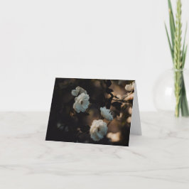 Tarjeta White roses in moody light, Sympathy