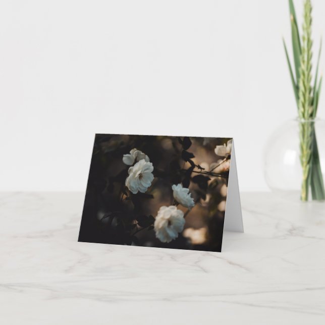 Tarjeta White roses in moody light, Sympathy (Anverso)