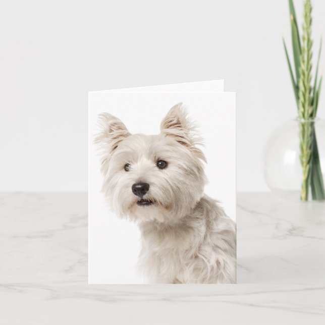 Tarjeta White West Highland Terrier Perro cachorro Hola Am (Anverso)