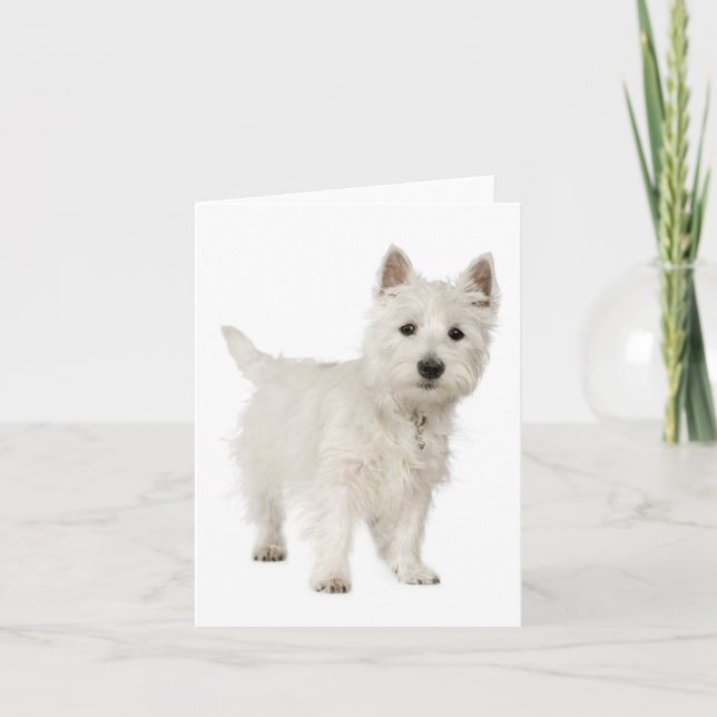 Tarjeta White West Highland Terrier Perro cachorro Hola Am (Anverso)