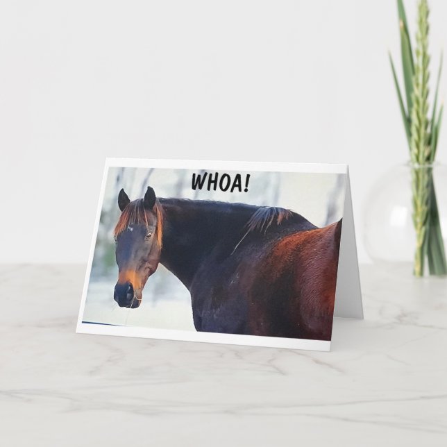 TARJETA WHOA DICE ESTE CABALLO DE GUAY Y *FELICITACIONES T (Anverso)