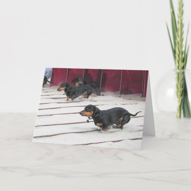 Tarjeta Wiener Dogs Races (Anverso)