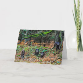 Tarjeta Wild Boar