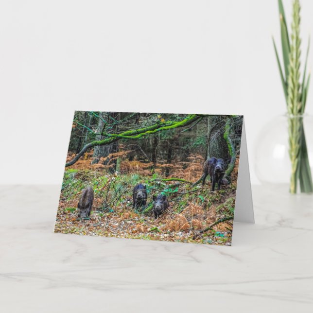 Tarjeta Wild Boar (Anverso)