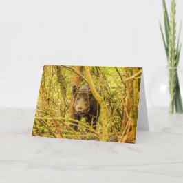 Tarjeta Wild Boar