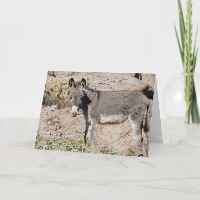 Tarjeta Wild Burro Greeting (Anverso)