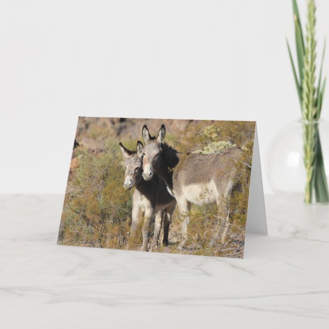 Tarjeta Wild Burros Greeting (Anverso)