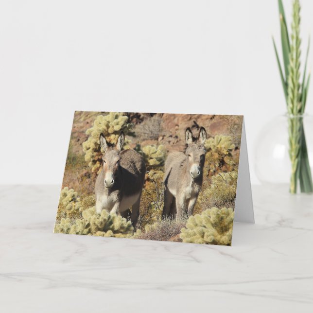 Tarjeta Wild Burros Greeting (Anverso)