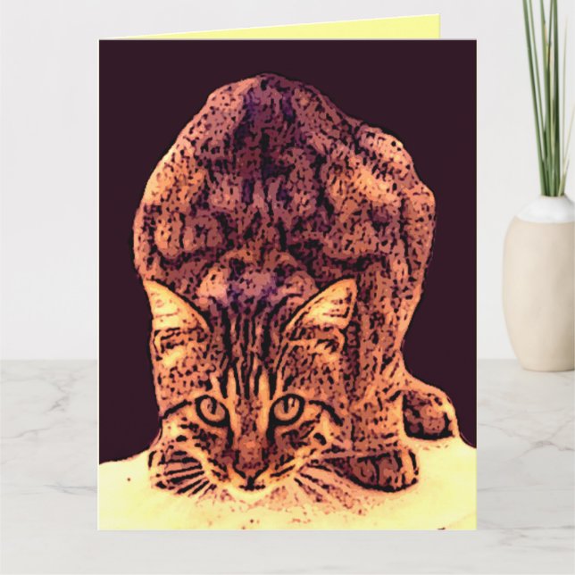 TARJETA WILD CAT KITTEN (Anverso)