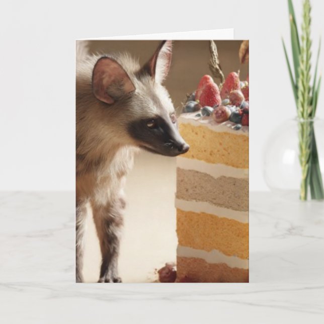 Tarjeta Wild Curiosity & Layered Cake (Anverso)