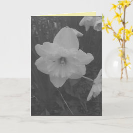 Tarjeta Wild Daffodil