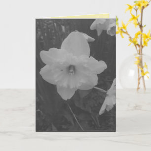 Tarjeta Wild Daffodil