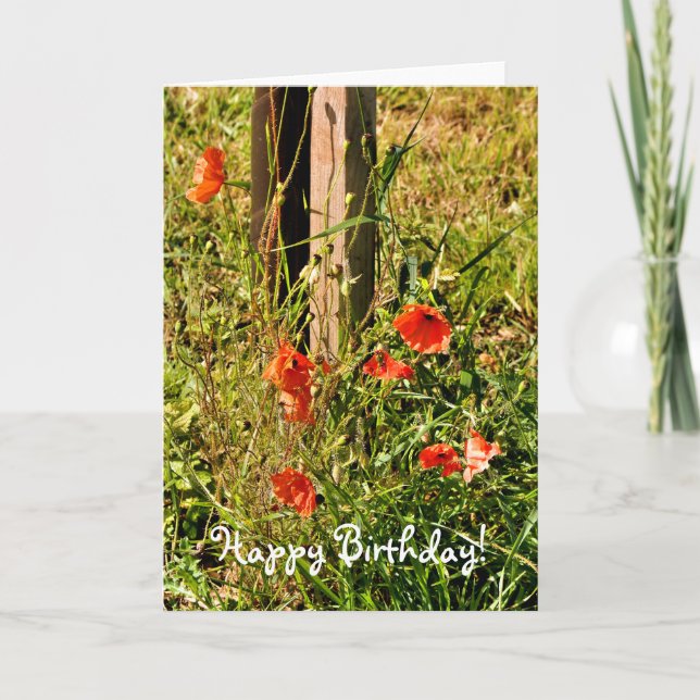 TARJETA WILD FLOWERS (Anverso)