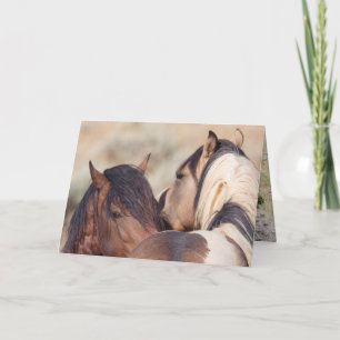 Tarjeta Wild Horse Secrets Wild Horse Greeting Card