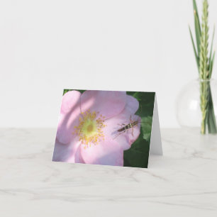 Tarjeta Wild Rosa Notecard