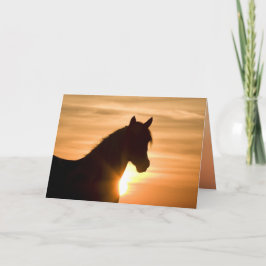 Tarjeta Wild Silhouette Wild Horse Greeting Card