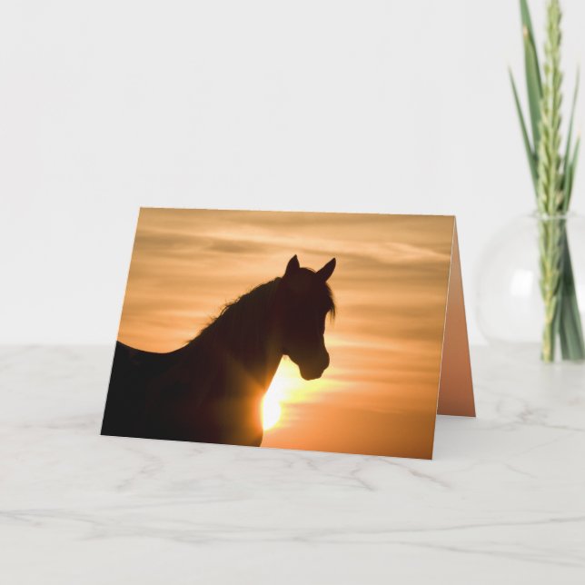 Tarjeta Wild Silhouette Wild Horse Greeting Card (Anverso)