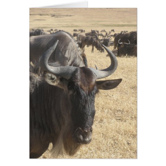 Tarjeta Wildebeasts