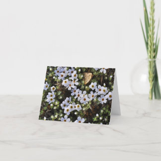 Tarjeta Wildflower blanco Notecard
