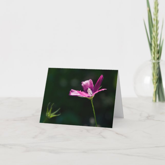 Tarjeta Wildflower magenta Notecard (Anverso)