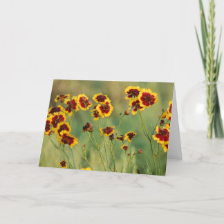 Tarjeta Wildflowers