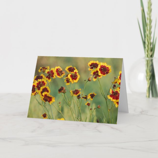 Tarjeta Wildflowers (Anverso)
