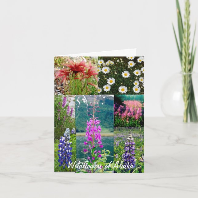 Tarjeta Wildflowers de Alaska (Anverso)
