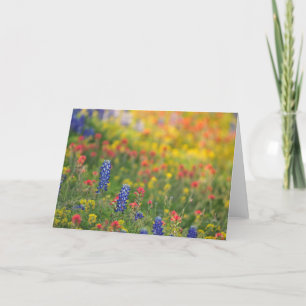 Tarjeta Wildflowers de la primavera