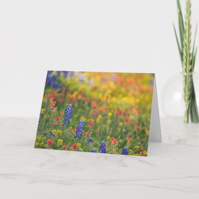 Tarjeta Wildflowers de la primavera (Anverso)