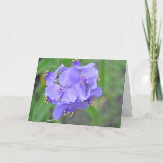 Tarjeta Wildflowers de Tejas