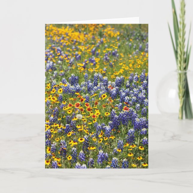 Tarjeta Wildflowers de Tejas de Cynthia Wenslow (Anverso)