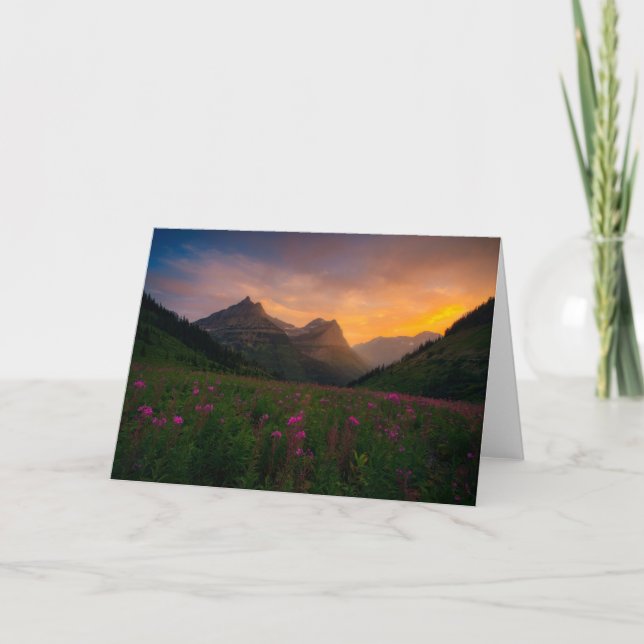 Tarjeta Wildflowers del glaciar (Anverso)