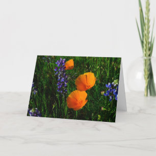 Tarjeta Wildflowers en el condado de Sonoma