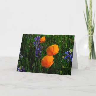 Tarjeta Wildflowers en el condado de Sonoma