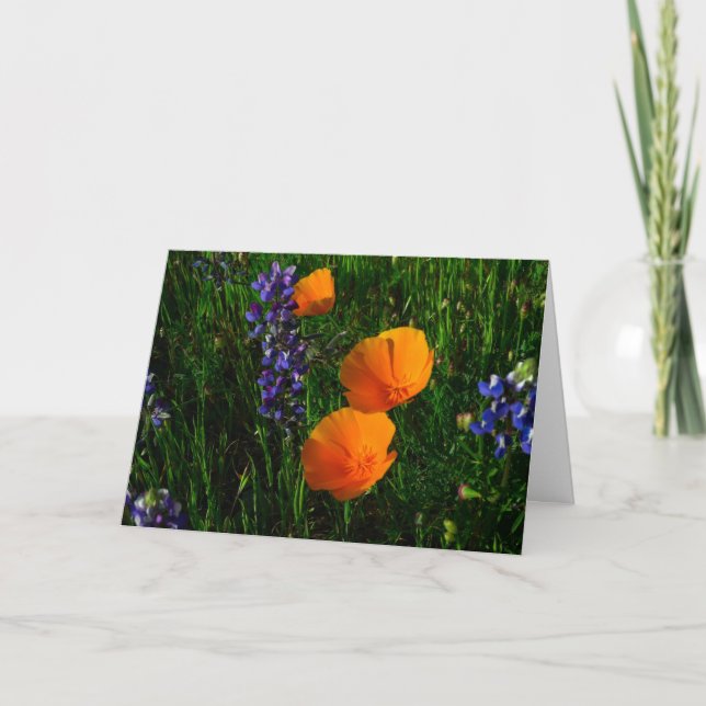 Tarjeta Wildflowers en el condado de Sonoma (Anverso)