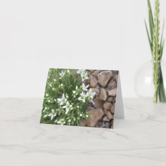 Tarjeta Wildflowers y rocas blancos minúsculos Notecard