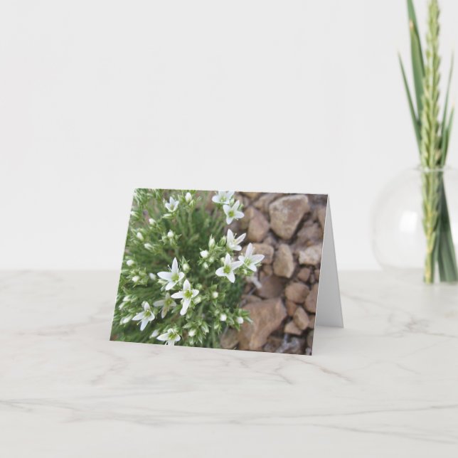Tarjeta Wildflowers y rocas blancos minúsculos Notecard (Anverso)