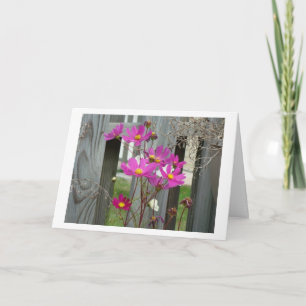 Tarjeta Wilflowers & Patio Fence, Amigo