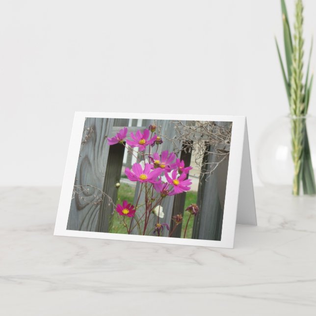 Tarjeta Wilflowers & Patio Fence, Amigo (Anverso)