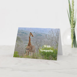 Tarjeta Willife Giraffe Savannah Foto Simpatía