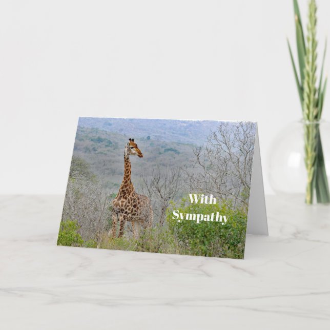 Tarjeta Willife Giraffe Savannah Foto Simpatía (Anverso)