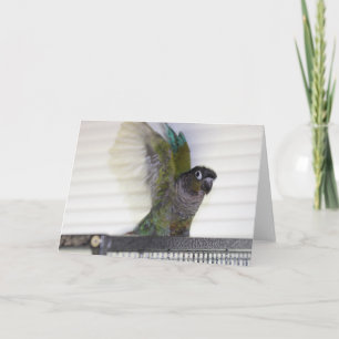 Tarjeta Wing Ding