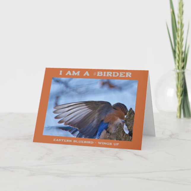 Tarjeta Wings Up Eastern Bluebird Birder (Anverso)
