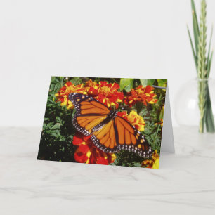 Tarjeta "Wingspan completo"