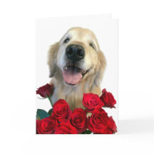 Winking Golden Retriever con Rosas Día de la Madre