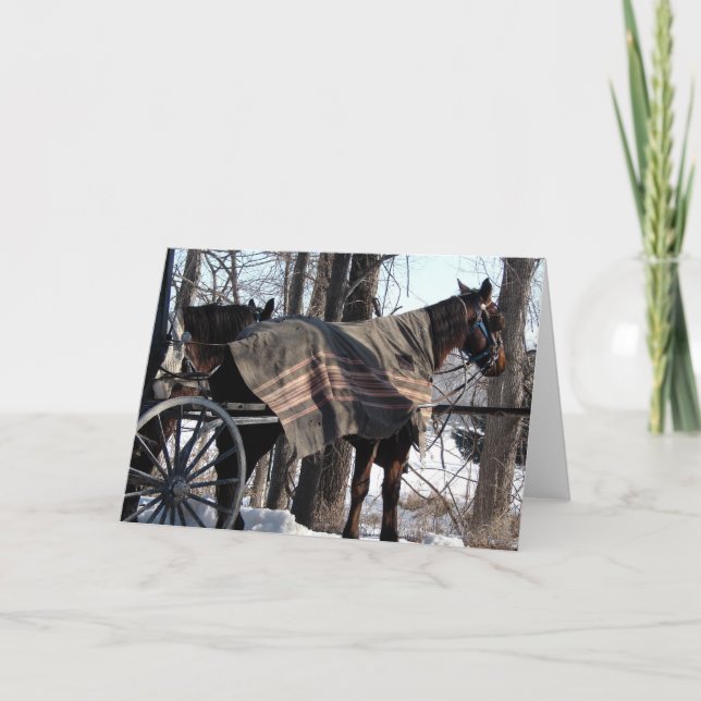 Tarjeta Winter Blanket (Anverso)