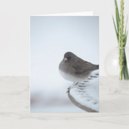 Tarjeta Winter Junco